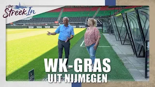 Barenbrug’s World Cup grass from Nijmegen || EXPLORING THE REGION