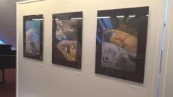 Manželia Prokešovci vystavujú fotky zo Srí Lanky