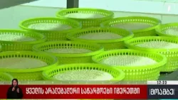 ყველის არალეგალური საწარმოები იმერეთში