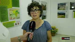 HOLA VERANO 22 de Julio de 2026 - Incendios, conciertos de feria y exposicion de paisajes