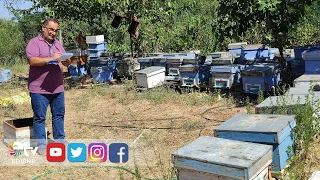 COMPREHENSIVE INSPECTIONS IN KEŞAN FROM AGRICULTURE TO FOOD