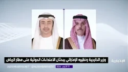 Foreign Minister discusses regional developments with his Emirati counterpart