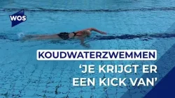 Koudwaterzwemmen in Hoek van Holland