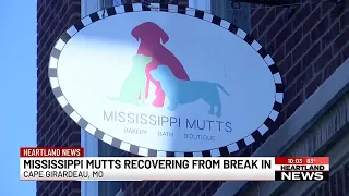 Mississippi Mutts recovering from break-in