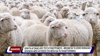 Κραυγή αγωνίας από τους κτηνοτρόφους – μειώνεται το ζωικό κεφάλαιο, έρχονται νέες αυξήσεις στη φέτα
