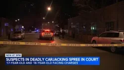Teen, man charged in deadly carjacking spree across Chicago appear in court