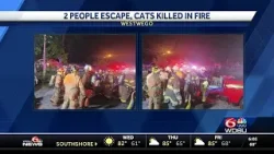 Two displaced, cats killed in Westwego fire