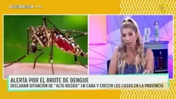 Alerta por el brote de dengue en el AMBA │DPZT│ 22-02-24