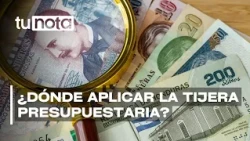 Subsidies and public spending: Where should the government cut the budget?