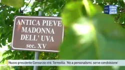 Nuovo presidente Consorzio tutela vini, Torrevilla: 'No ai personalismi, serve condivisione'