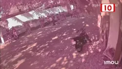 Investigarán a policías y ciudadanos tras disturbios en la Colosio