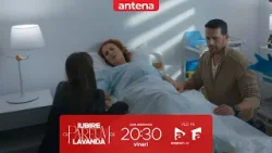 Iubire cu parfum de lavandă | Sezonul 3 | REZUMAT | Episoadele 46, 47, 48