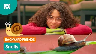 Why are snails so SLIMEY?! 🐌 | Gardening Australia Junior | ABC Kids