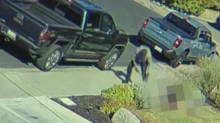 Video shows moment of fatal Bay Area yard stabbing; suspect arrested was recently in jail