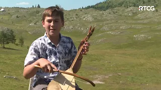 POGLEDI IZ DOMOVINE