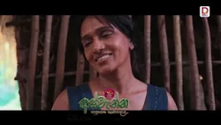 අපරාදේ කිරි ටික.. |  අස්වැන්න 🌾