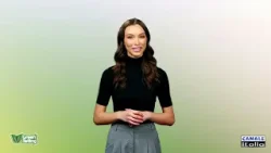 P96   GREENTELLING   30'   18 MAR 26