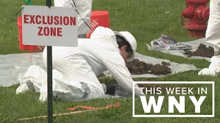 This Week in WNY