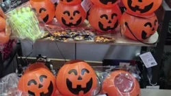Halloween: Approximately 2,500 unsafe items seized in Arezzo