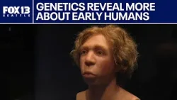 Genetic analysis reveals more about early humans | FOX 13 Seattle