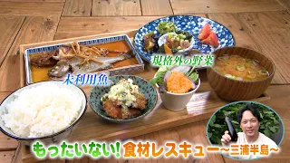 「もったいない！食材レスキュー～三浦半島～」かながわ旬菜ナビ 2026/9/13放送