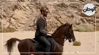 «تبهر السياح».. ركوب الخيل ورياضة الفروسية من أهم الأنشطة السياحية بمدينة شرم الشيخ