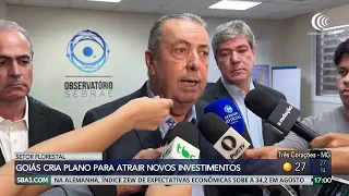 Goiás creates plan to attract new investments to the forestry sector