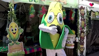 30 Years of the Corn Fair