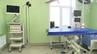 From Frogs to Goats: Rare Surgeries and Unique Diagnostics at the Upper Volga GAU