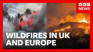 Wildfires in the UK and Europe as heatwaves continue | BBC News