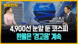 4,900선 눈앞 둔 코스피…환율은 '경고음' 계속 [세상만사] #김광석교수 #코스피 #환율 #달러자산