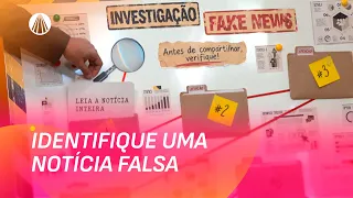 O Guia Definitivo para Identificar Fake News e Evitar Golpes | Viva a Tarde