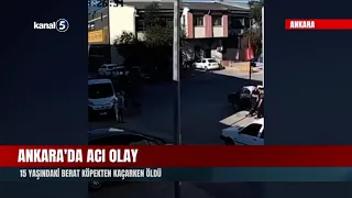 Tragic Incident in Ankara! 15-Year-Old Berat Dies While Fleeing from a Dog