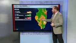 Illinois primary election: Lt. Gov. Stratton wins Democratic nomination in US Senate race