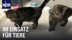 Unterwegs mit der Tierrettung Hamburg | Die Nordreportage | NDR Doku