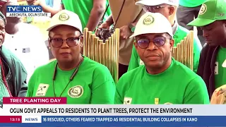 Ogun Govt. Appeals To Residents To Plant Trees, Protect Environment