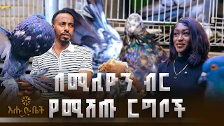 በሚሊዮን ብር የሚሸጡ ርግቦች | ብታዩት | እሑድ ቤት |