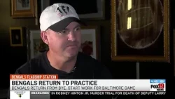 Bengals back to work