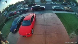 South Sacramento resident describes seeing apparent ICE detention outside her home
