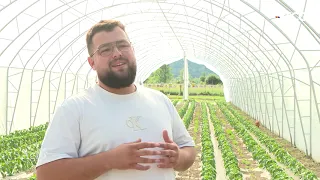 Priče iz Polja,Pešića rupe Radulića  Peštera i gusle -  AGROSAZNANJE