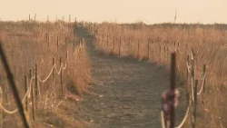 Students, staff gather for vigil for Loyola freshman killed in apparent random attack along lakefron