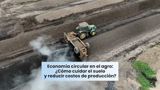 Circular economy in agriculture: How to care for the soil and reduce production costs