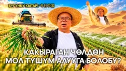 Faces of Xinjiang: Жав миңдин чөлдү өзгөртүү эстелиги / Жуңго Шинжаң радио теле станциясы