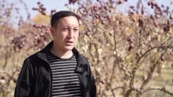 Чөл четин бөгөп, жөнгө салып байууга аттануу