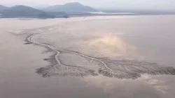 ? «Приливные деревья» на реке Цяньтан