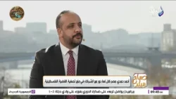 أحمد حمدي: مصر كان لها دور مع الشركاء في منع تصفية القضية الفلسطينية