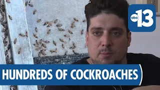 Henderson Homes Swarmed by Cockroaches Possibly Linked to Wetlands Construction