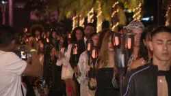 The Fashion Maurice Show 2025 The Fashion Maurice Show 2025