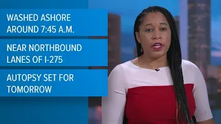 Human remains found in water near Skyway Bridge; deputies investigating