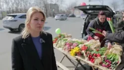 Торговля тюльпанами развернулась на улицах Владивостока.